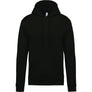 Sweatshirt capuche K476
