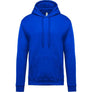 Sweatshirt capuche K476