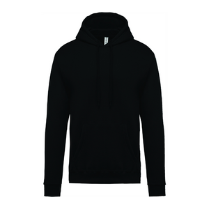 Sweatshirt capuche K476